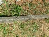 image of grave number 333258